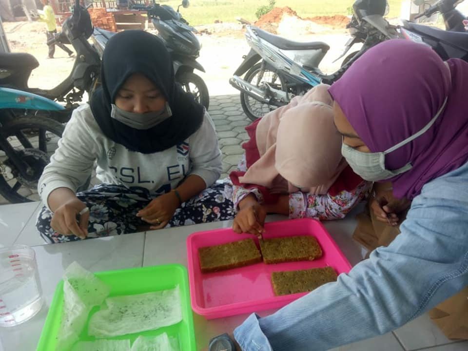 Proses penyemaian benih di green house hidroponik SMK Assaidiyyah.